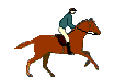 laukkaanimaatio.gif
